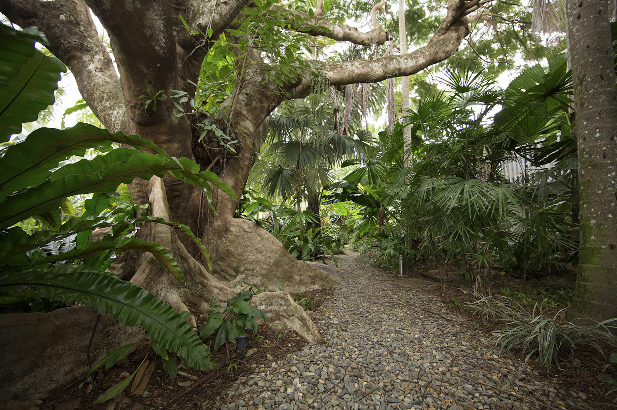 Castaways Resort & Spa On Mission Beach Eksteriør bilde