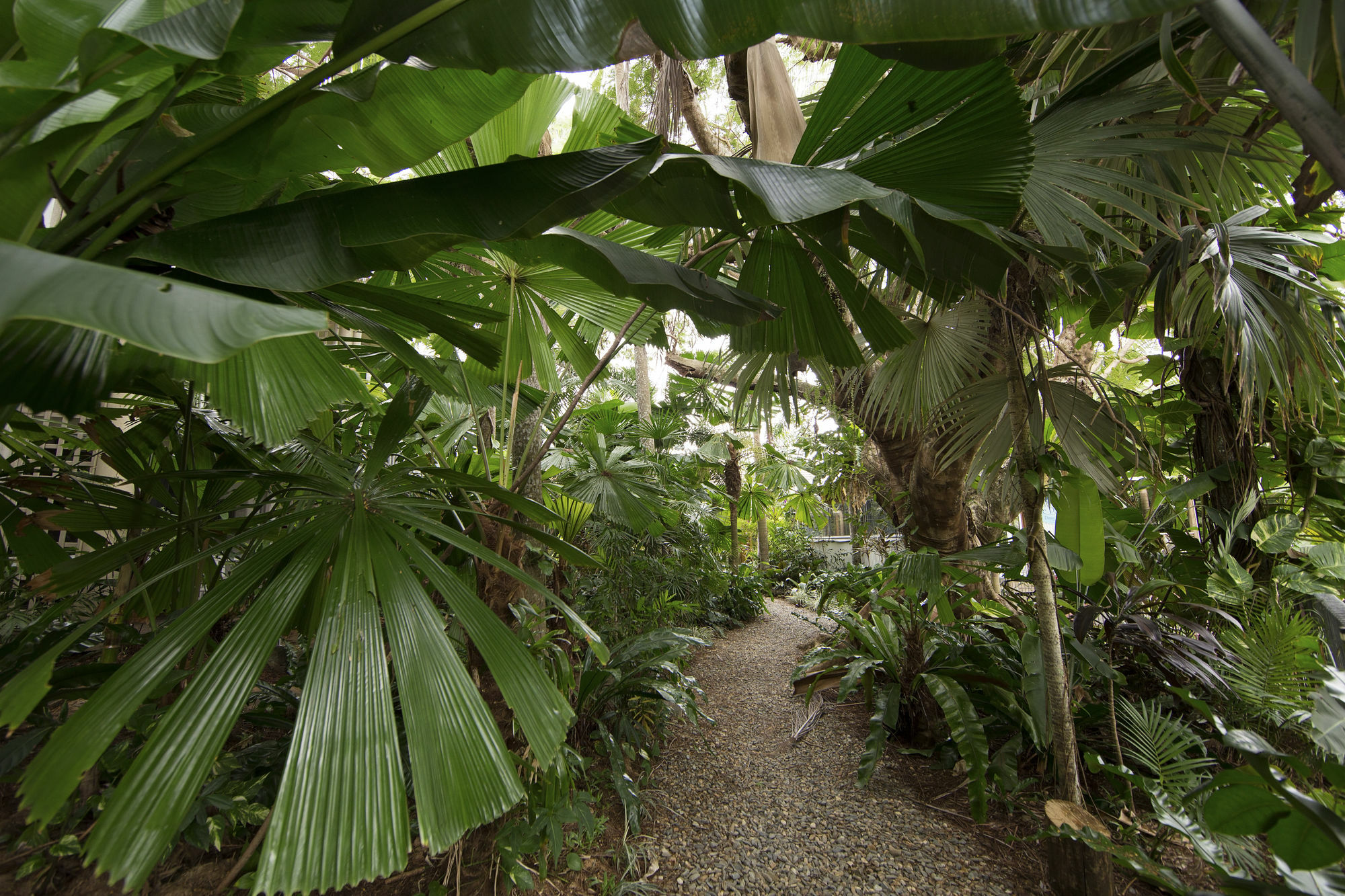 Castaways Resort & Spa On Mission Beach Eksteriør bilde